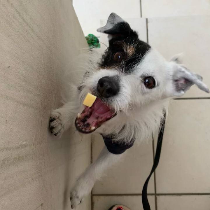 61fa032e 7137 4e94 8359 5b43f2a1d6c9 1713833182078