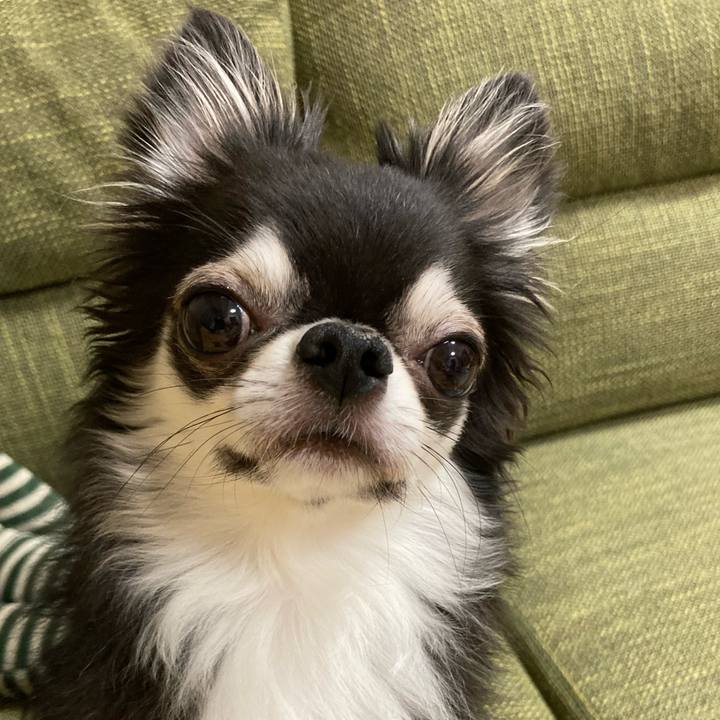 61fa4309 a9a7 4e77 a0a6 43f6b40ae1be 1661611118570