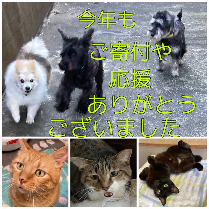 61fa53d6 8535 480d 9425 d917ac7327b2 1640948853545