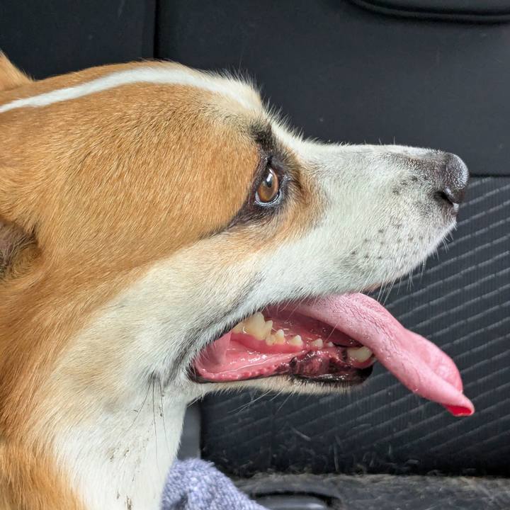 61fa69f2 24c5 48fa 8b5f e76aaf006ded 1751447836440