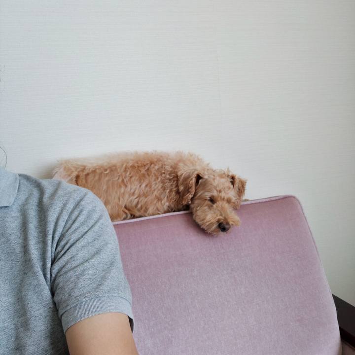 61faa27f f7da 430e 82c9 e90c11a225c0 1597198319777