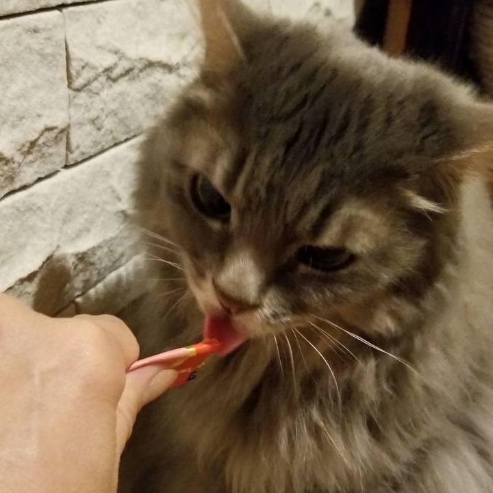 61fac4be b302 43ee 8ffd cc590959a330 1533903390302