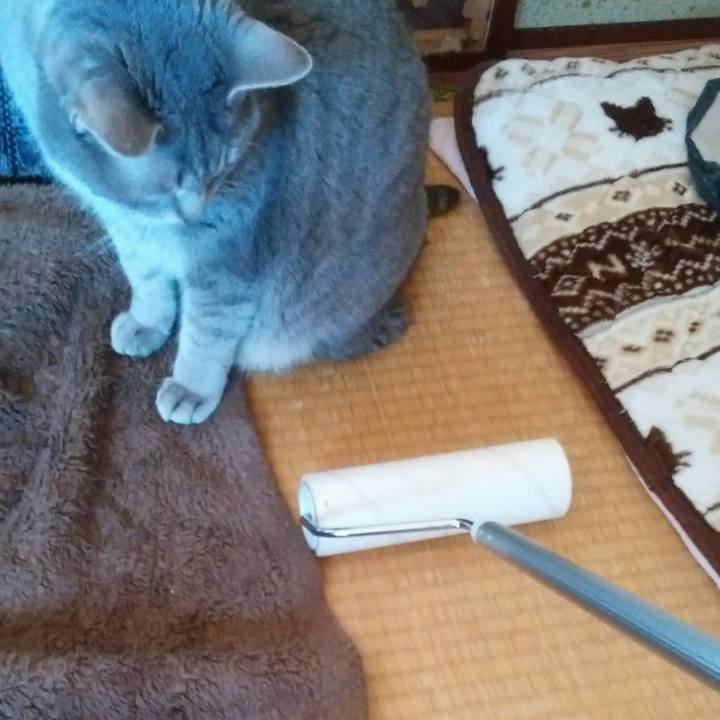 61fad285 49b7 4ed3 954d 8a8ccd651790 1587260798039