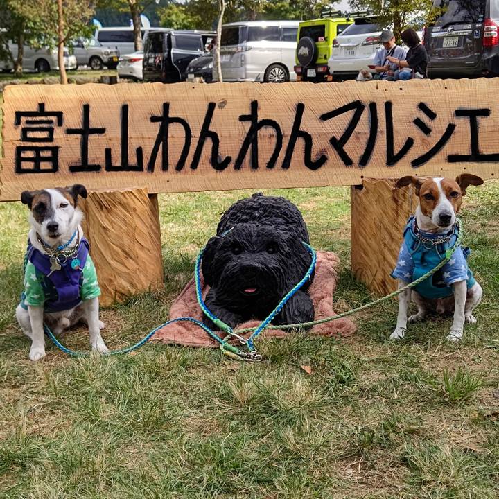 61fadf11 07e0 4fbd 9bfc 1b9d53a64bd9 1633753661631