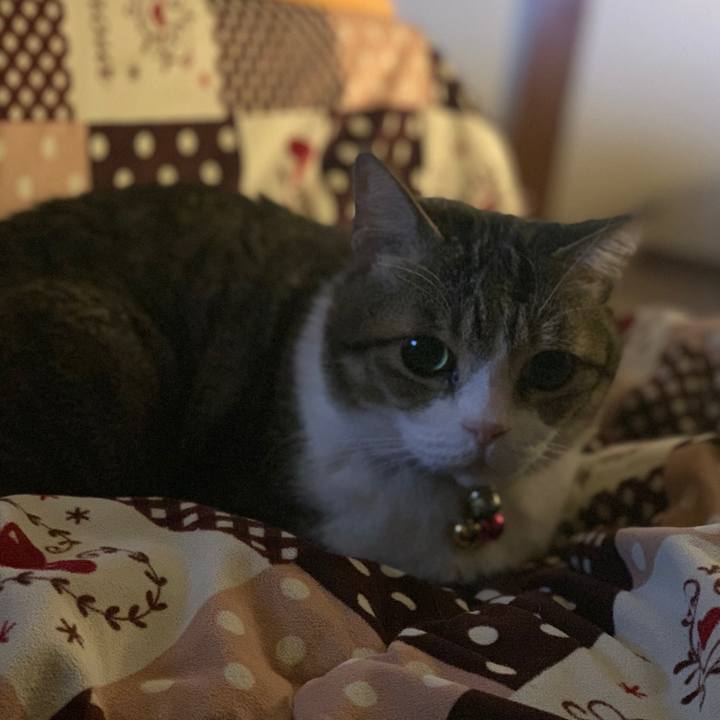 61fb1d37 57f7 46e6 93ee e4604badb929 1612795458847