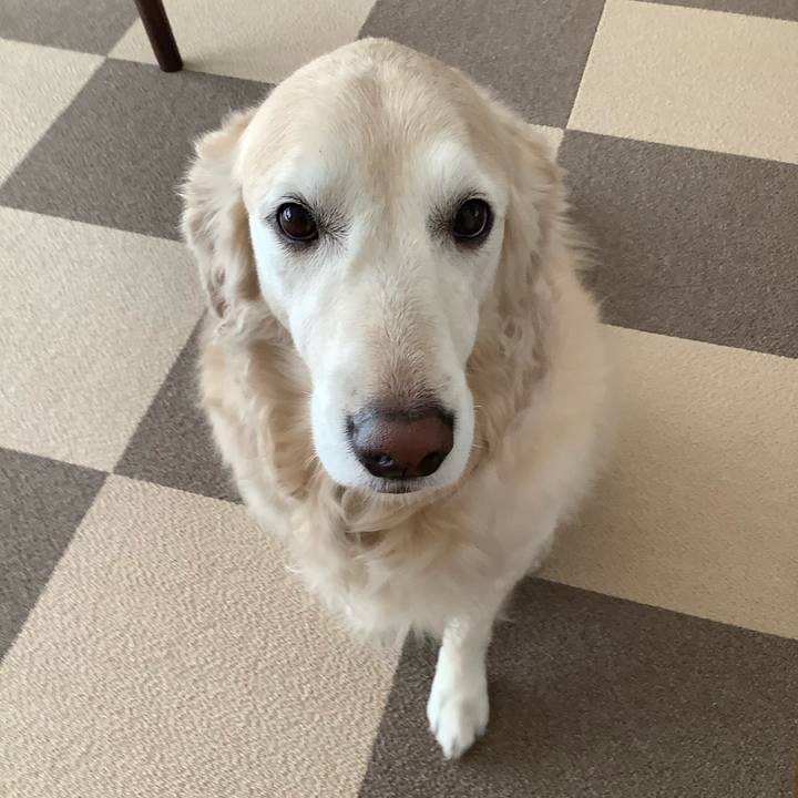 61fb2ef5 f7a5 4509 9082 f80421f097a4 1604629215691