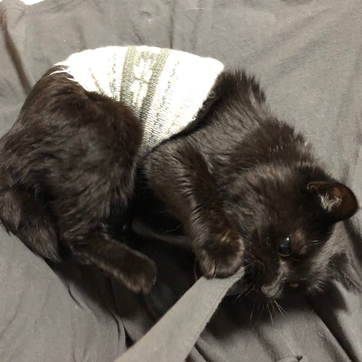 61fb4f67 f13f 4df3 8e50 1366ae7e35f3 1605172971178