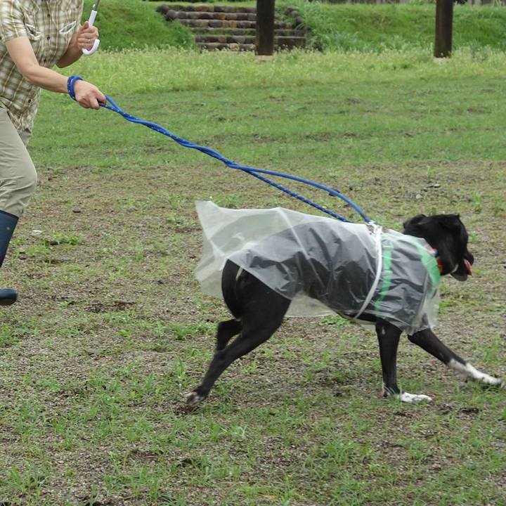 61fb7605 ba13 4520 a857 f5a1fcb40d7a 1593994960400