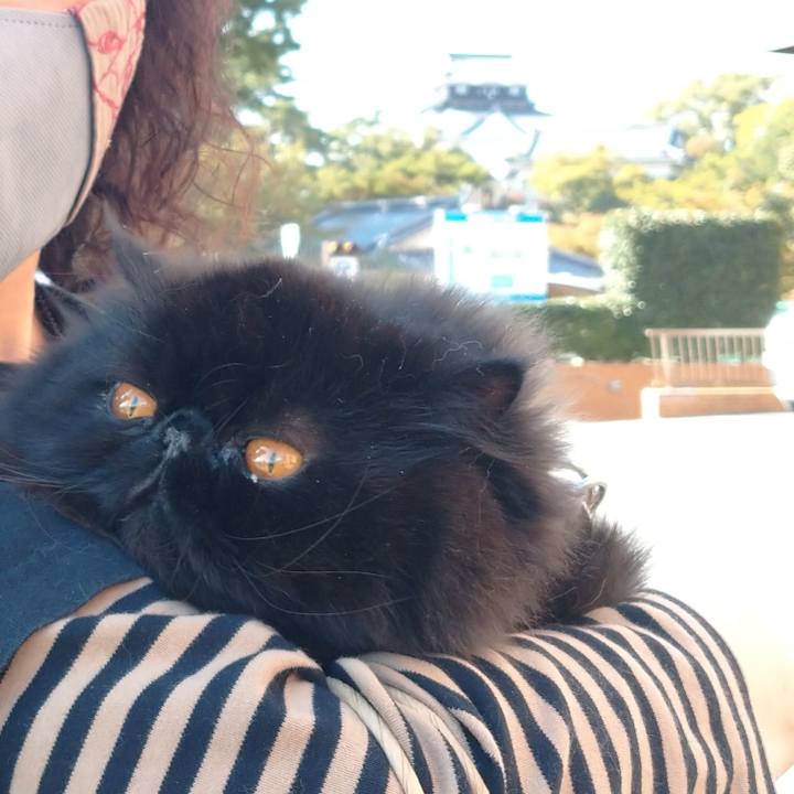 61fb8a72 000a 4007 8667 4ed9760f08a9 1635675590280