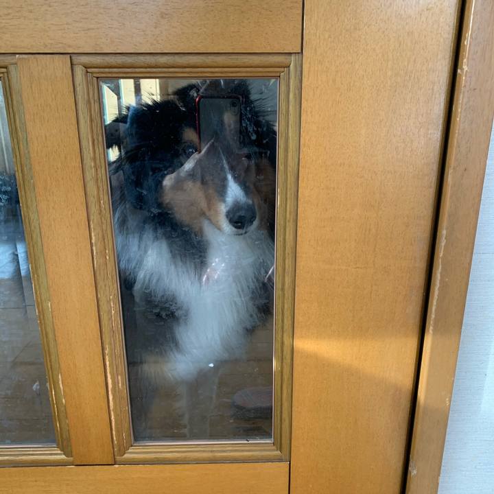 61fb99e4 c161 4bb6 8e60 09ef28fc785d 1584400380660