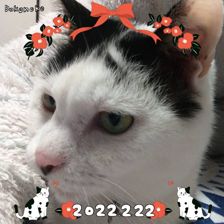 61fbafa3 eabf 4e5f b9fa 0bc00896a153 1645512051504