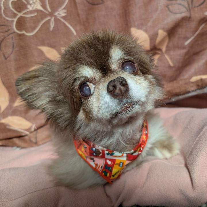 61fbe2ef c982 4032 b502 c899c770c4a0 1765838632975