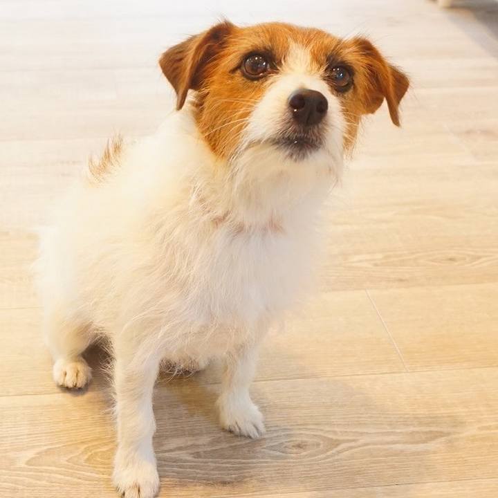 61fbe956 824d 4900 b182 f592be5aa8ca 1532121734199