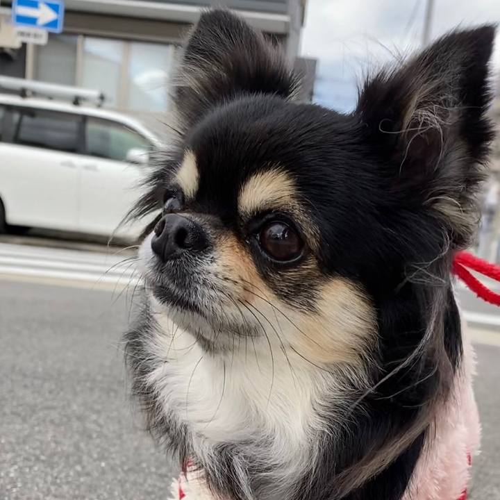 61fbecda 7f7c 41ea b0e8 a8180297741e 1637727864769