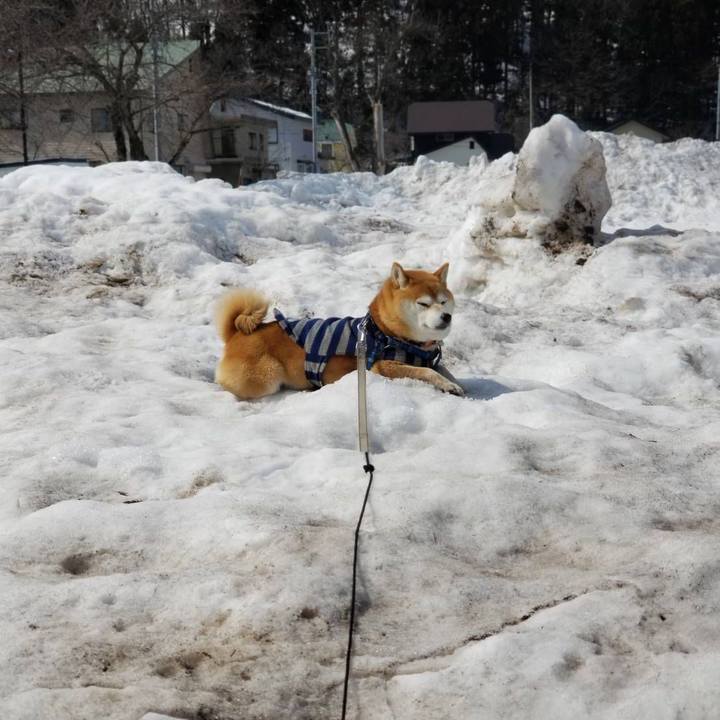 61fc54df cafd 4510 ad61 085b26d7cc35 1551411059372