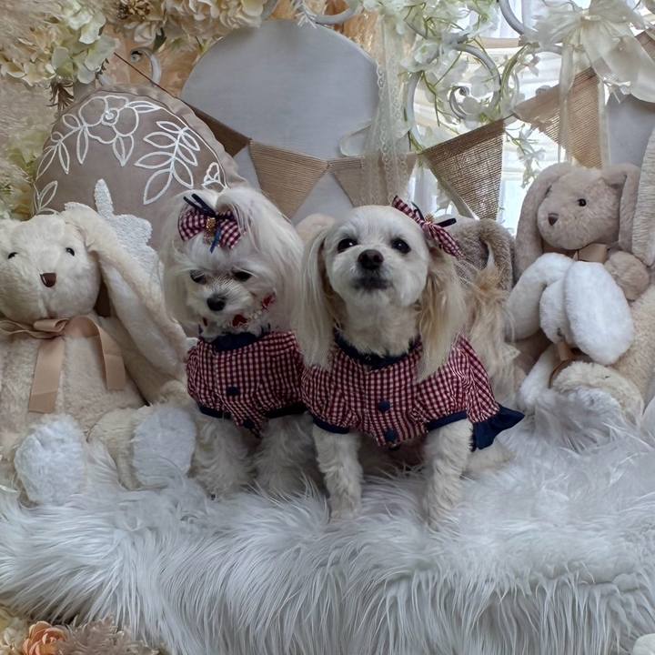 61fc6300 52a3 4323 95c4 7e0d3f59f269 1771678386953