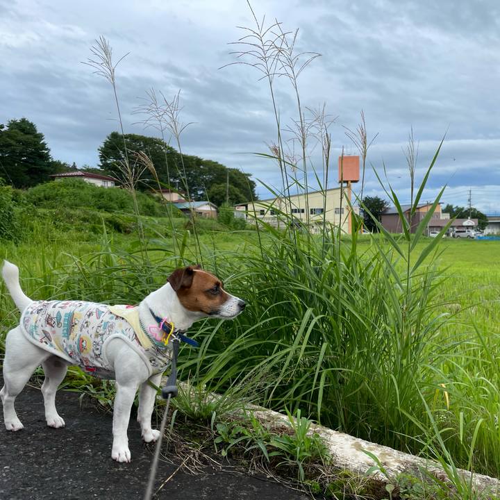 61fc859f 7641 47e5 82a1 4e43ea2b0b10 1629277217731