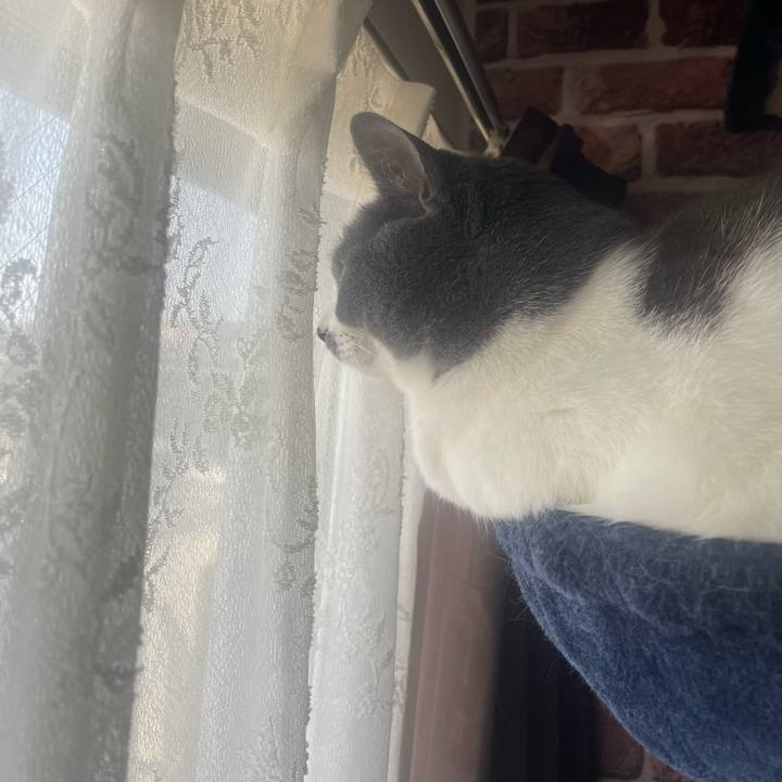 61fcc844 7993 4da2 afc1 8129b9291866 1682985866502