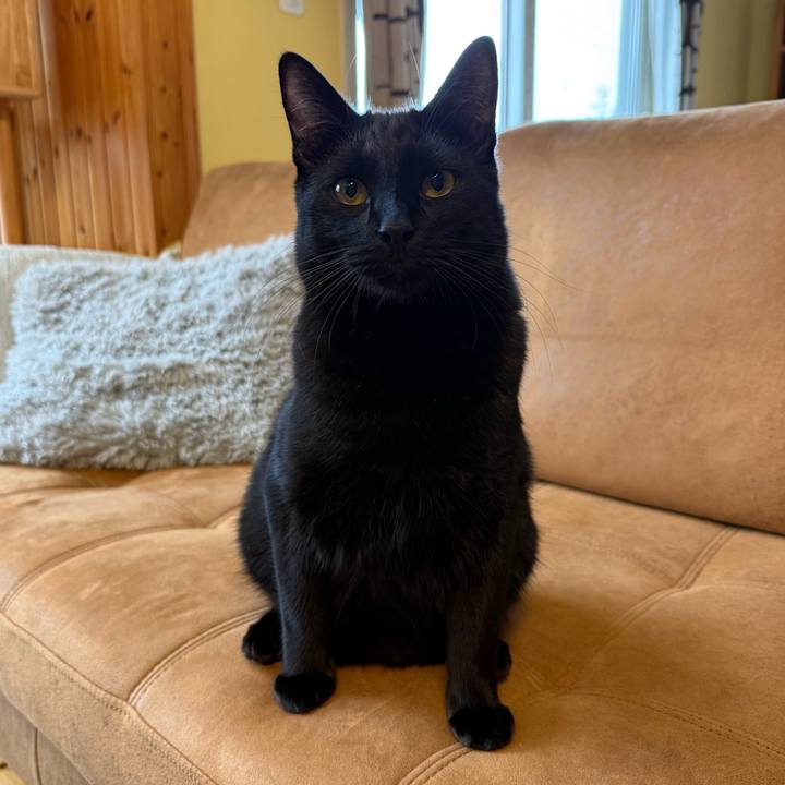 61fcd448 7c69 4ab4 a7d9 cb12fe6a1926 1775773833798