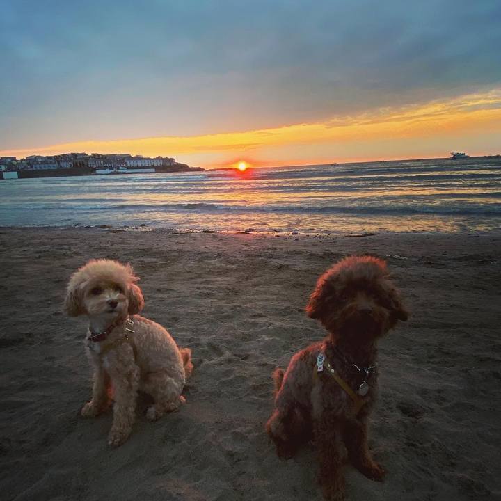 61fcdf23 06b8 426f 9200 10bc7073e3f6 1597098753990