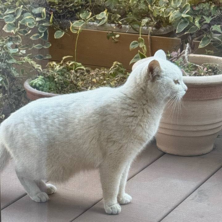 61fcff7e 9798 42c4 94b7 05424a67ade5 1769835890238