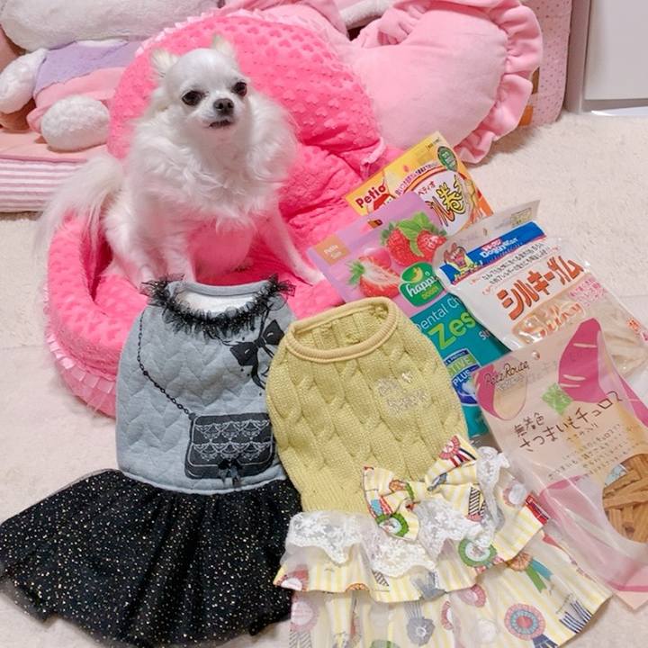 61fd4669 122f 42da 916e 9e39fdaed3c2 1574606978027