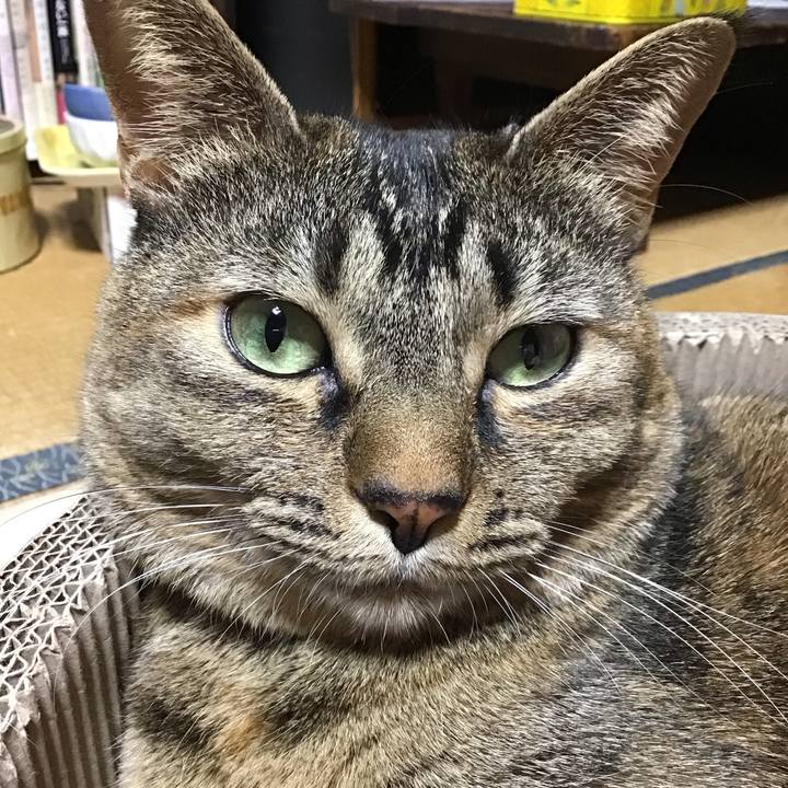 61fd7487 8b53 47de 9201 9314060e01c1 1703236849184