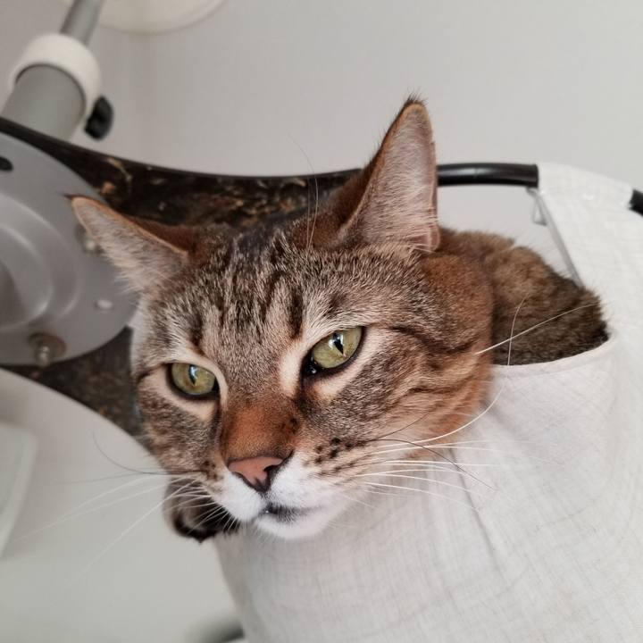 61fd916e 436c 48c2 9a02 59b6fe6a0794 1609632334400