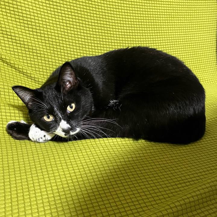 61fdb606 a39b 4204 926b d7f19205b18b 1739848208710