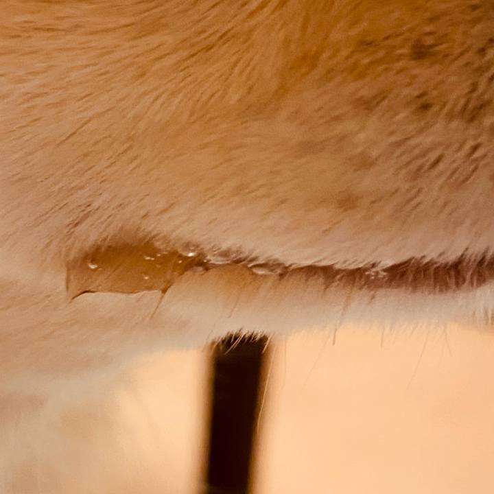 61fdbc3b 8eb1 4b88 b55b eb287451a828 1619440075793