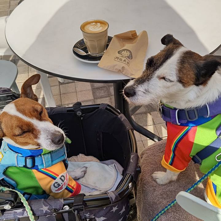 61fdfc6c a2a9 4e69 b525 c812c7481aee 1646471300250