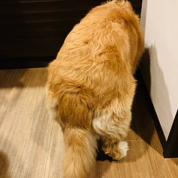 61fe2a64 1d77 43ea 90a1 ebaaa96ec362 1716961235709