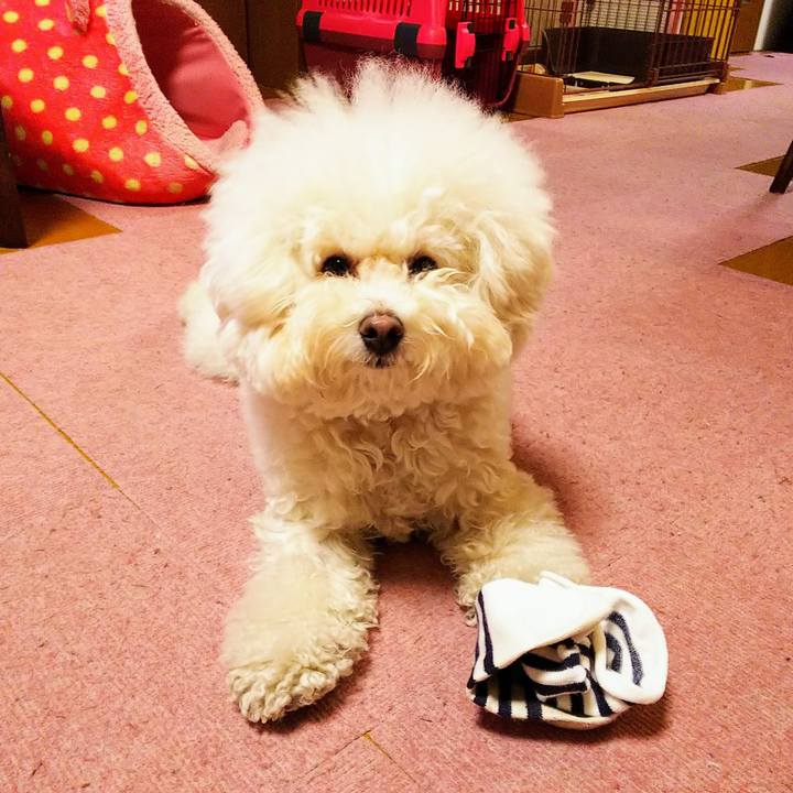 61fe4cb6 47b4 49a1 992d 9b86459617ae 1556449322685