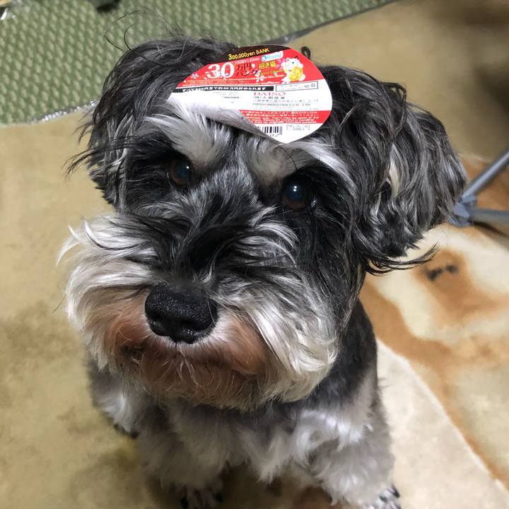 61fe89d9 586d 4cd7 84e0 a8db266fb98e 1546697025634