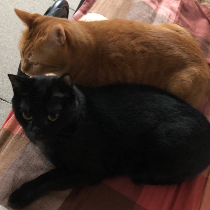 61fed7eb b067 43d9 81de 626d107cbacc 1680987810476