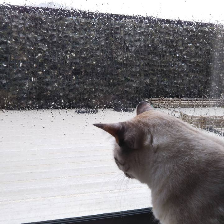 61feef27 3ec0 43c2 a53f 803bbb18a9c0 1530603392693