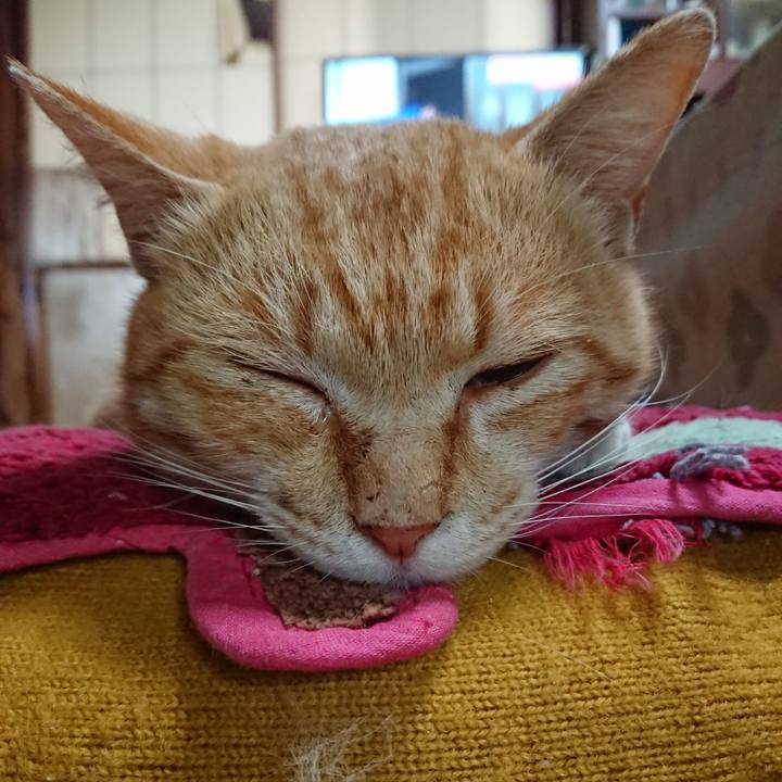 61ff0970 2779 4af4 b9d4 9f02fa32308a 1557616028417