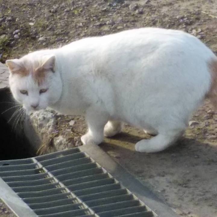 61ff4b2b b9c2 46a0 9dc9 8a1d8fd86052 1581638502254