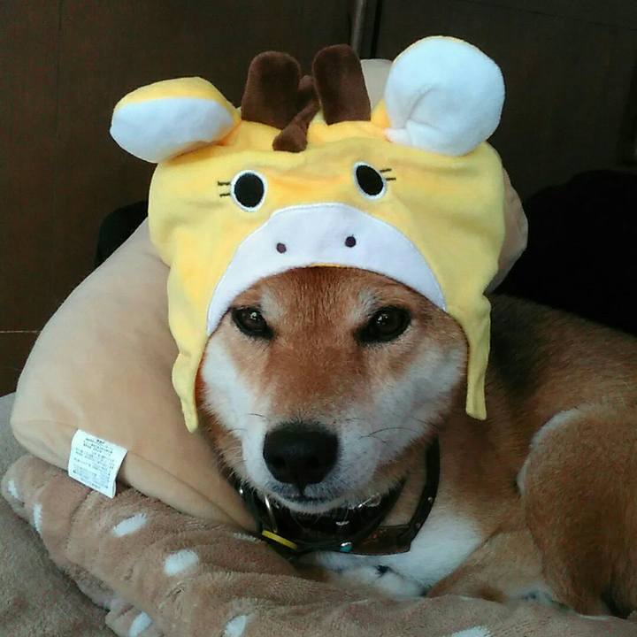 61ff5936 a39d 4a3b ae96 c7b03a845d9a 1566612286719