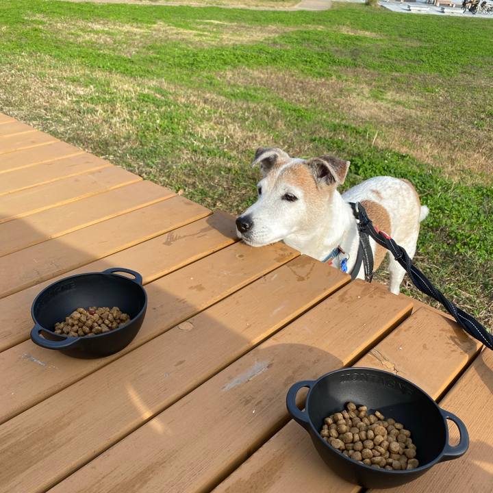 61ff8ae3 cef1 44a9 9184 0dd04f0699e3 1637456228089