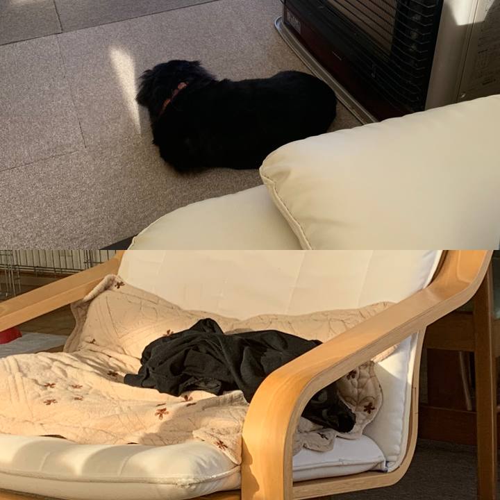 61ffae24 57e4 4353 a5ba fcdb99778228 1605396904563