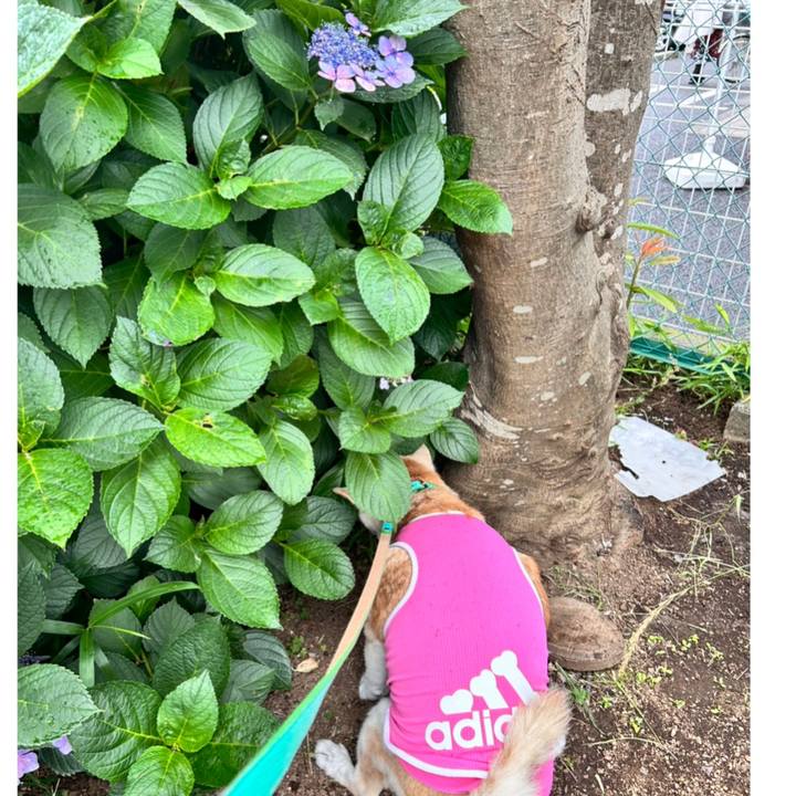 61ffb14f 80af 4e0b 86fa 64081a3e04d6 1749888710720