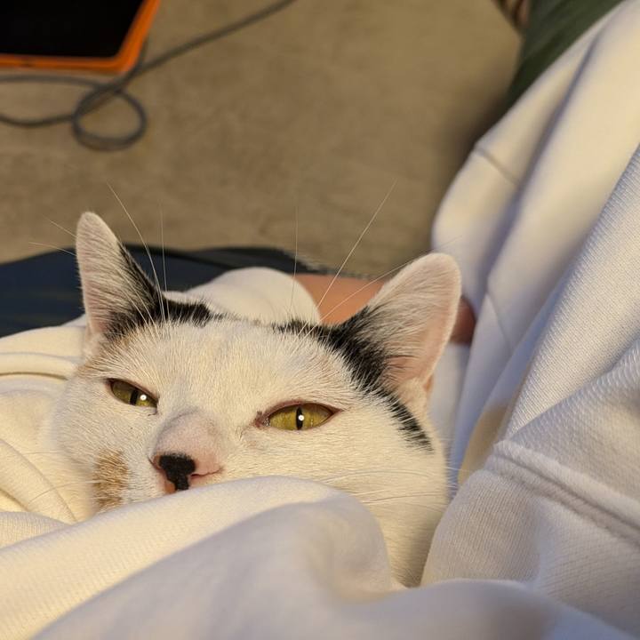 61ffd367 f579 4f53 9216 fc05c968fa93 1730963344627