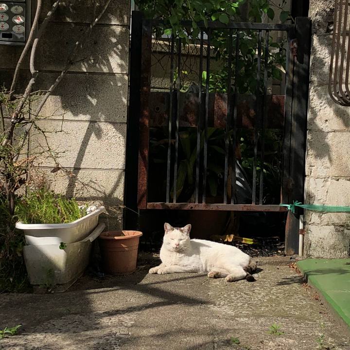 61ffe42a a735 4458 83ad 396c25480da8 1523521407183