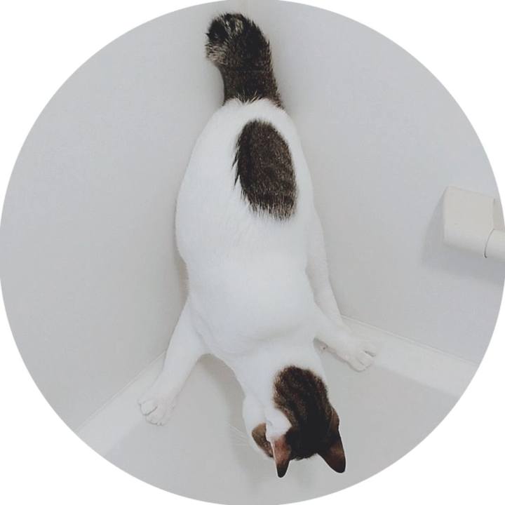 61fffe2d 656b 4bb5 bd51 60becb1a2d37 1763124168409