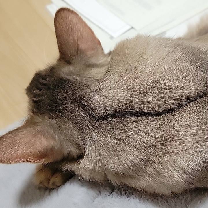 62000121 ad0c 44fe 8b93 613047af65ce 1669807720026