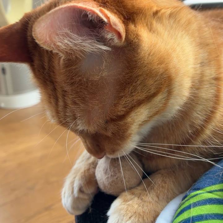 62000a91 888e 4096 afc1 7c481410e2c4 1747445619116