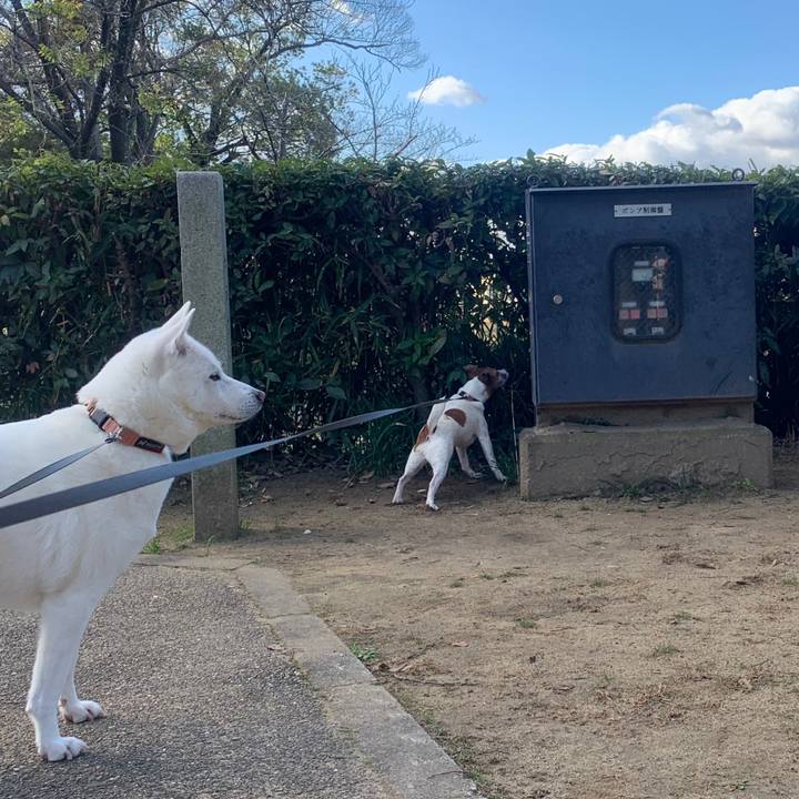 62000c98 8e83 4256 9f34 44a927077d27 1546085649081