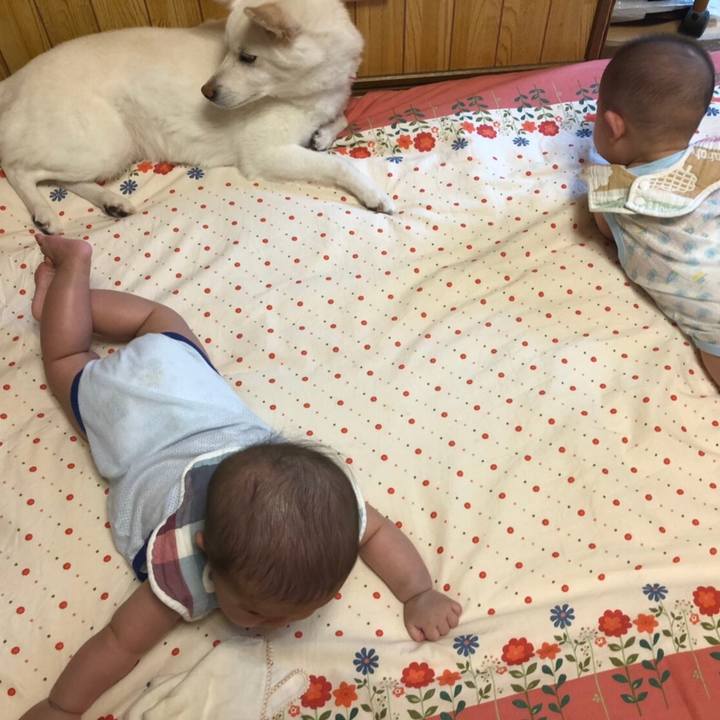 6200459b 7379 4438 a572 e5bcbbd768f5 1593756391552