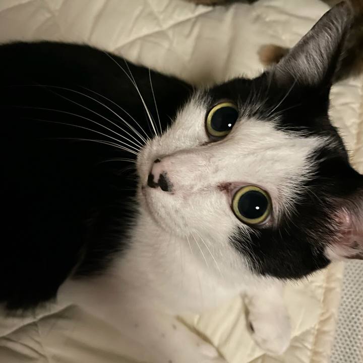 62006eca fabb 44d2 b59b 9caf89088bb3 1630867252631